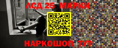 индика Моздок