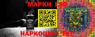 индика Моздок