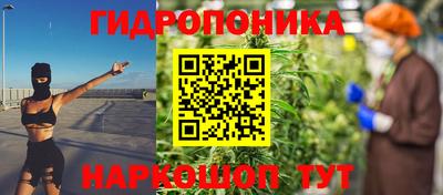 мдпв Можга