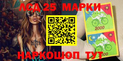 индика Моздок