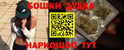 индика Моздок